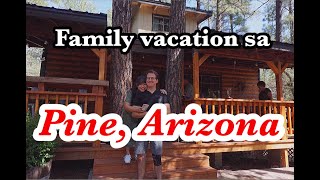 Pine, Arizona | Elk Haven | Family Vacation Aug 2020 | Cabin in the woods | Wild