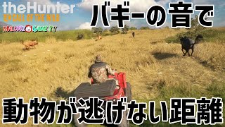 【ザハンターコールオブザワイルド】バギーで動物が逃げてしまう距離をマスターします【theHunter: Call of the Wild 】