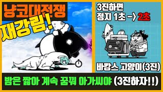 【냥코대전쟁】 밤은 짧아 계속 꿈꿔 아가씨야 / 꿈속에서 초극난도