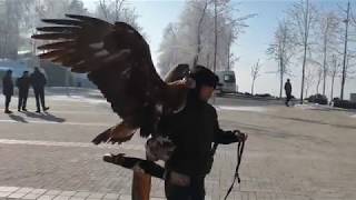 Kok tobe - popular recreational area on the top of mountain, almaty, kazakhsthan