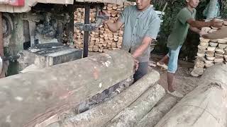 DRAMATIS.. proses penggergajian kayu sengon besar di mesin sawmill..