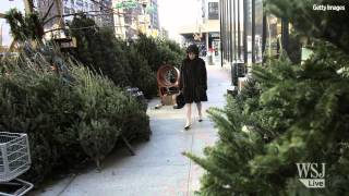 7 Tips to Pick & Keep the Perfect Christmas Tree
