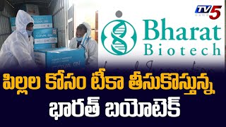 పిల్లల కోసం టీకా  తీసుకొస్తున్న  భారత్ బయోటెక్ | Bharat Biotech | TV5 News Digital