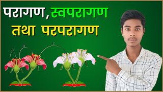 परागण, स्वपरागण तथा परपरागण || pollination, self-pollination and cross-pollination || pollination