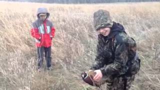 South Dakota pheasant release