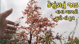 🆕 નાના બાળકોને આ ફૂલથી જરૂર નવરાંવો ✅