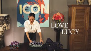 Love Lucy: Luggage Cubes