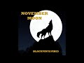 BlackVinylVibes - November Moon