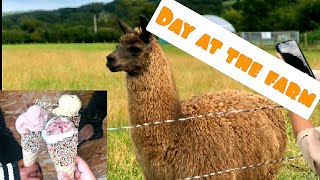 Day at the farm | so many different farm animals | Mrs Dawson's Farm