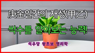 庚金일간의 재성(甲,乙) 싹수를 알아 보는 능력!(석우당 왕초보 명리학)