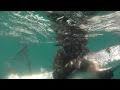 Pending Spearfishing World Record - Pickhandle Barracuda - Chelsea Maples - Adreno Spearfishing