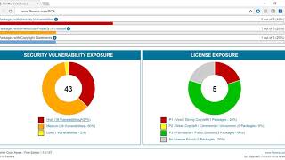 FlexNet Code Aware Report Demo