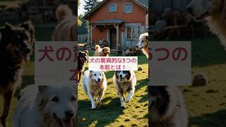 【動物雑学AI】 犬の驚異的な5つの本能とは！ 🐾🐶 #shorts