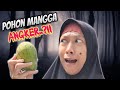 Pohon Mangga Angker 😄 Kunyit Dikerjain Bu Asti dan Aqilla | Asti Kunyit Eps 57