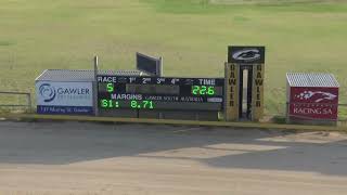 Gawler-22122024-Race-5