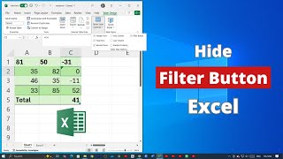 How to Hide Filter Button on Microsoft Excel