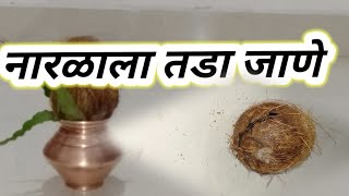 नारळाला तडा जाणे|| काय करावे? || नारळा ला तडा का जाते?