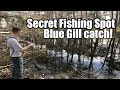 Blue Gill Fishing!!!