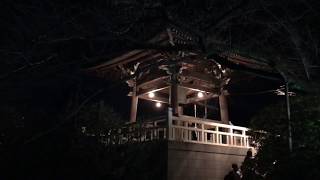 【白鷺山 福蔵院】除夜の鐘 2019 #1