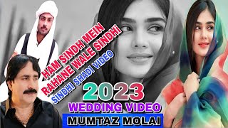 ham sindh me rehne wale | Mumtaz Molai Sindhi New 2023 Song | Sindhi  Full Song & WhatsApp Status