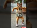 Cat Dance ❤️ | Cute kitten #cat #lovecats #cats#catvideos #kittens #catlover #princesscat#kitten