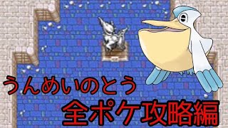 【空の探検隊】うんめいのとう全ポケ攻略編 #125