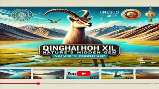 Exploring the Mysteries of Qinghai Hoh Xil