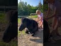 this is love 💜 my daughter and her pony 🐴 be shorts horse equestrian