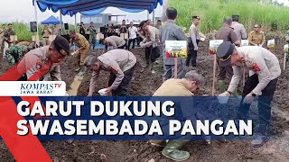 Dukung Swasembada Pangan, Puluhan Hektar Lahan Ditanami Jagung