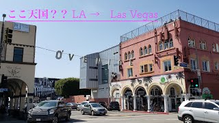 【アメリカ散歩】ロサンゼルスとラスベガスを散歩！！- LA \u0026 Vegas -