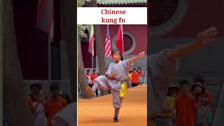 చైనీస్ కుంగ్ ఫు #cheinese kung fu #viralvideo