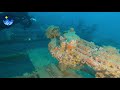 immersione sul relitto della nave mercantile lina in croazia diving croatia wreck lina