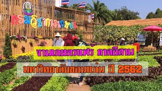 งานเกษตรแฟร์ ภาคอีสาน ที่ มหาวิทยาลัยขอนแก่น ปี 2562 *เกษตรผสมผสาน บัานทุ่ง ลุงต๋อมพาไปชม