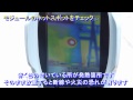 flir　ホットスポット検査