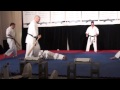 shihan lino gambuto destroys 2 baseball bats and 4 slabs of cement