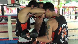 Tiger Muay Thai Techniques: Parry Jab followed by elbow strike