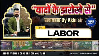 Labor ll यादों के झरोखे से सदाबहार Akki Sir.......