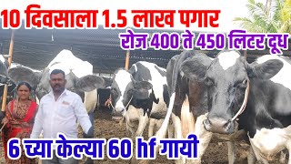 10 दिवसाला 1.5 लाख पगार,6 च्या केल्या 60 hf गाई,रोज 400 ते 450 लिटर दूध,Ok नियोजन,hf_cow visionvarta