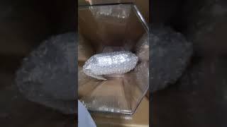 Imagitarium Aquarium Unboxing