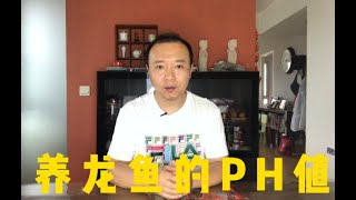 #205 南方的水与北方的水——龙鱼饲养PH值