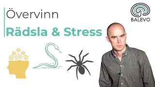 Övervinna Rädsla och Stress | Förstå Stressreaktionen och principerna för hur du Övervinner Rädslan