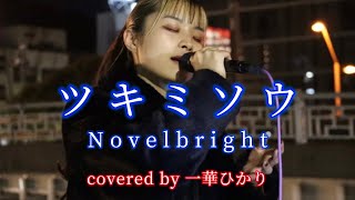 普段とは少し雰囲気が違うpiano ver.が心地良すぎて聞き惚れた ツキミソウ/ Novelbright covered by《一華ひかり》 @ichikahikari