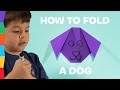 How to Fold a Paper Origami Dog - Easy Origami for Kids