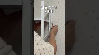 홈프로텍터의 책상 정리