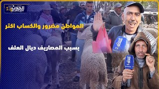 معاناة الكسابة : المواطن مضرور والكساب اكتر منو بسبب المصاريف ديال العلف