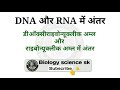 dna और rna में अंतर dna rna mein antar dna aur rna mein antar differences between dna and rna