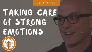 Taking Care of Strong Emotions | Dharma Talk by Br Phap Lai, 2018 07 12