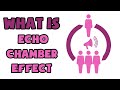 What is Echo Chamber Effect | Explained in 2 min