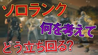 【R6S実況】 立ち回りや考えていることを解説しながらソロランク!! 窓ラペ狩りC4のコツも教えるぞ!! #139