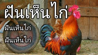 ฝันเห็นไก่ ทำนายฝัน